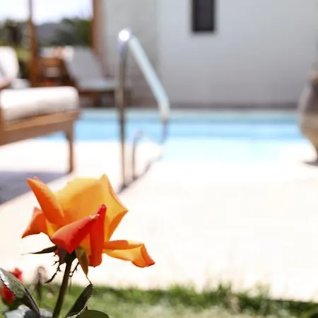 Eve Veriko Villa Pissouri