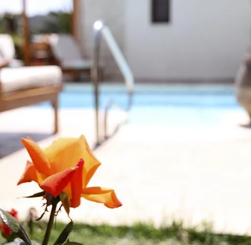 Eve Veriko Villa Pissouri